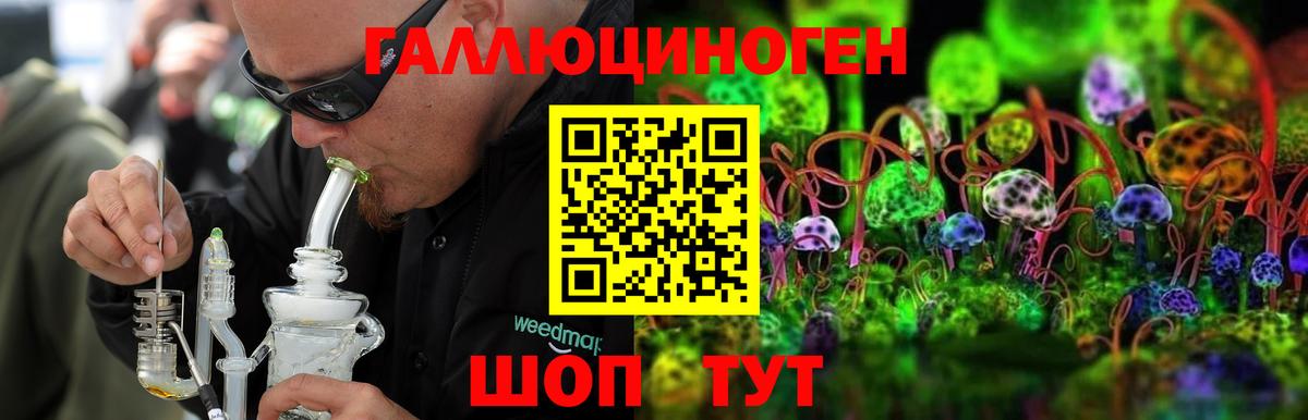 Галлюциногенные грибы ЛСД  Вход с VPN  Вологда 
